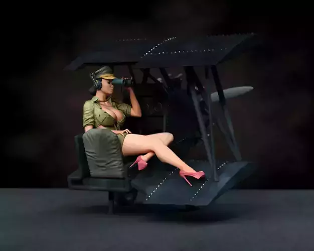 Female Pilot pin up