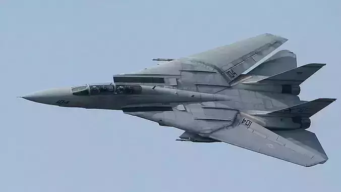 Grumman F-14 Tomcat
