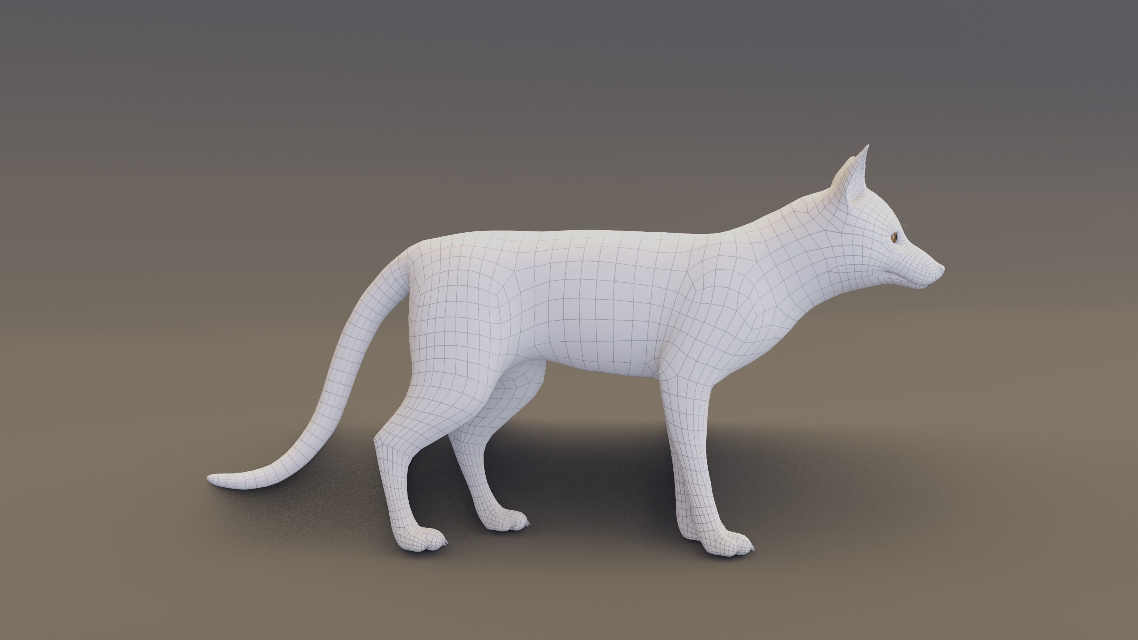 Arctic Fox  3D model_13