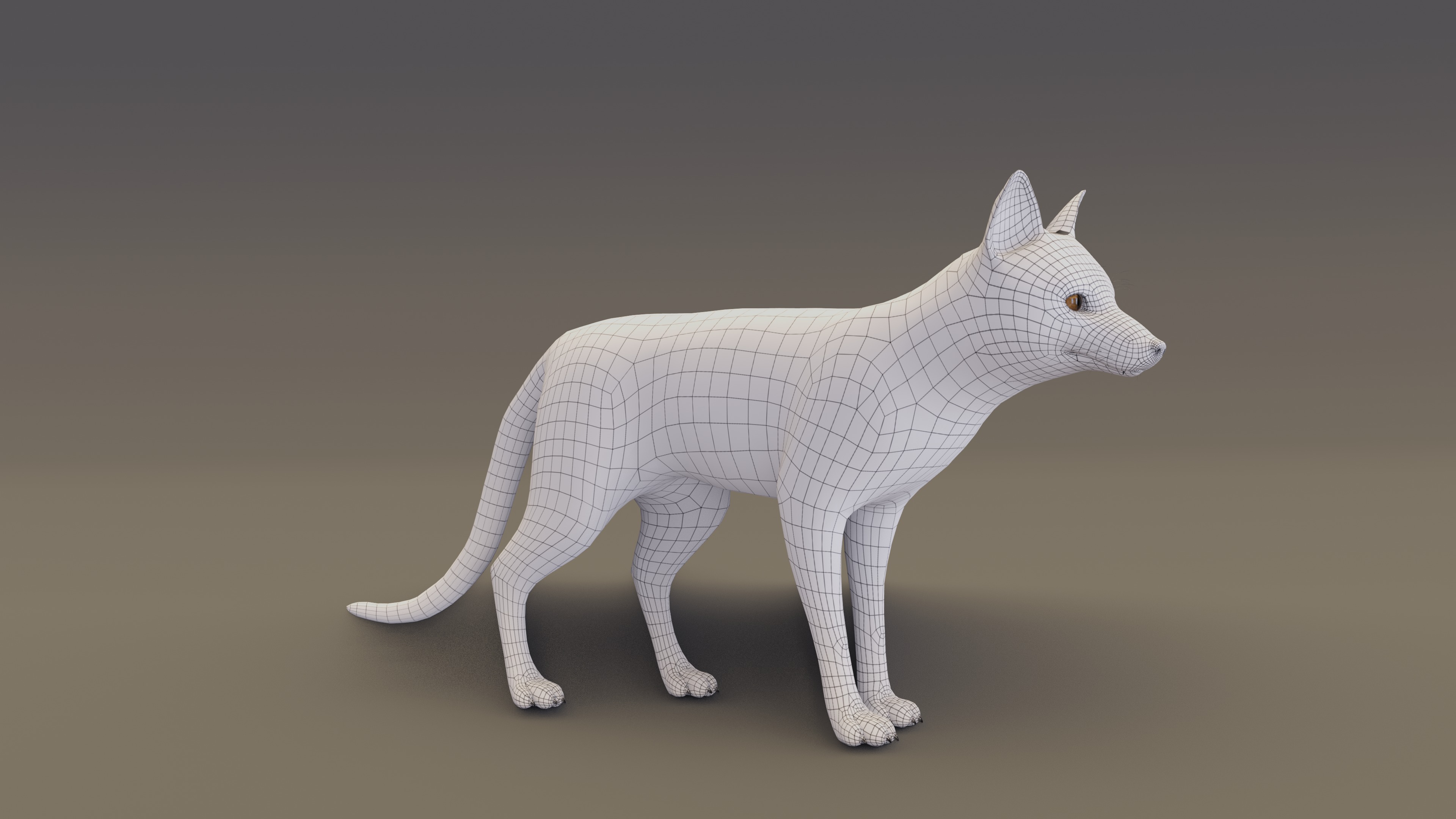 Arctic Fox  3D model_15