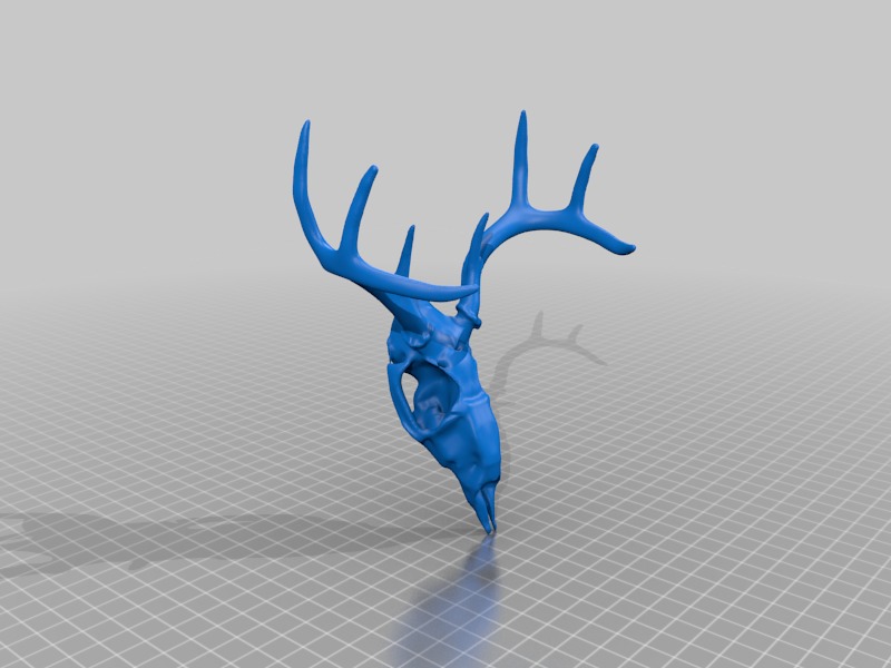 DEER SKULL 3D print model_3