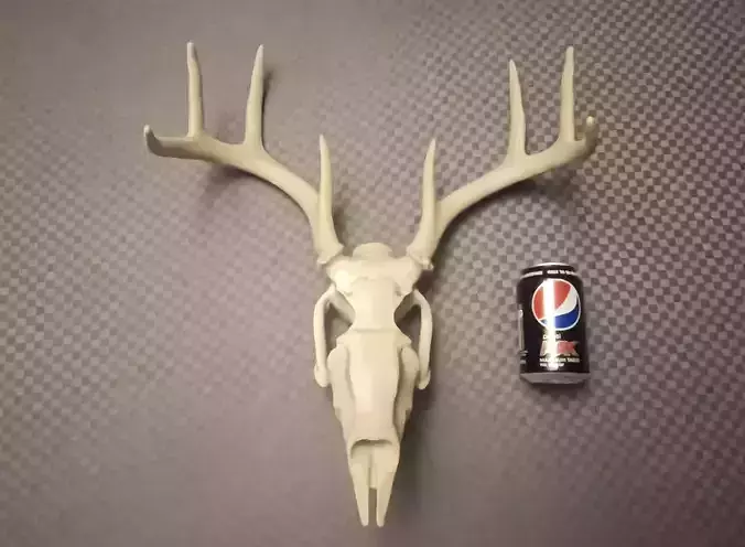 DEER SKULL 3D print model