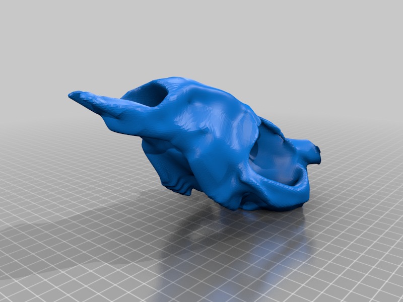 DEER SKULL 3D print model_2