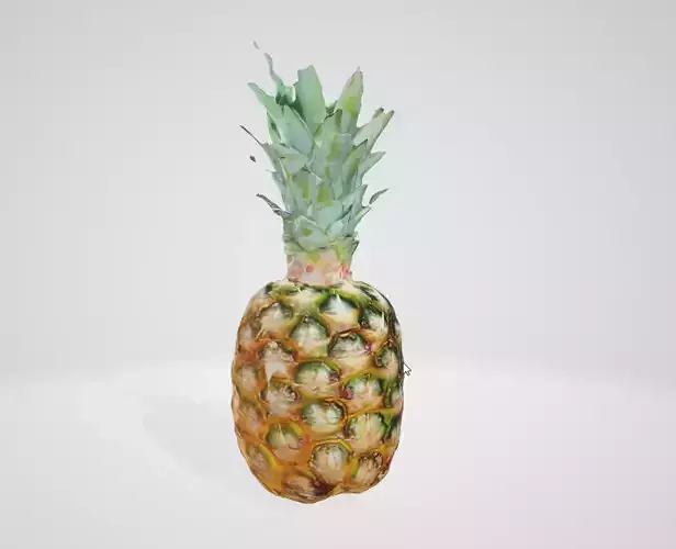 Realistic Pineapple 3D Asset Low-poly 3D model