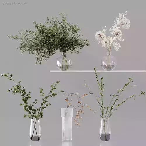 Collection Indoor Plants 056