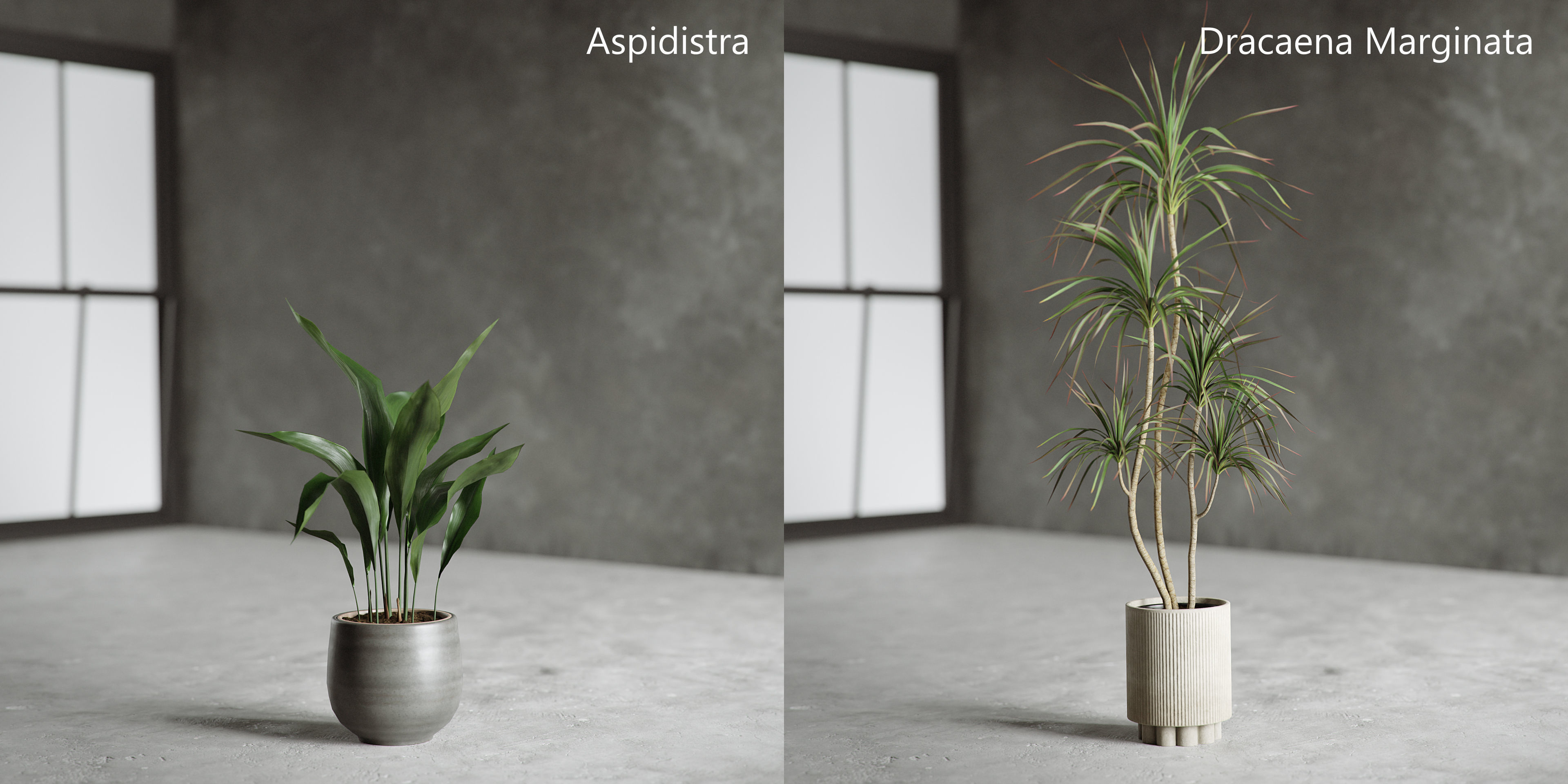 Plants Collection for Archviz 02 3D model_11