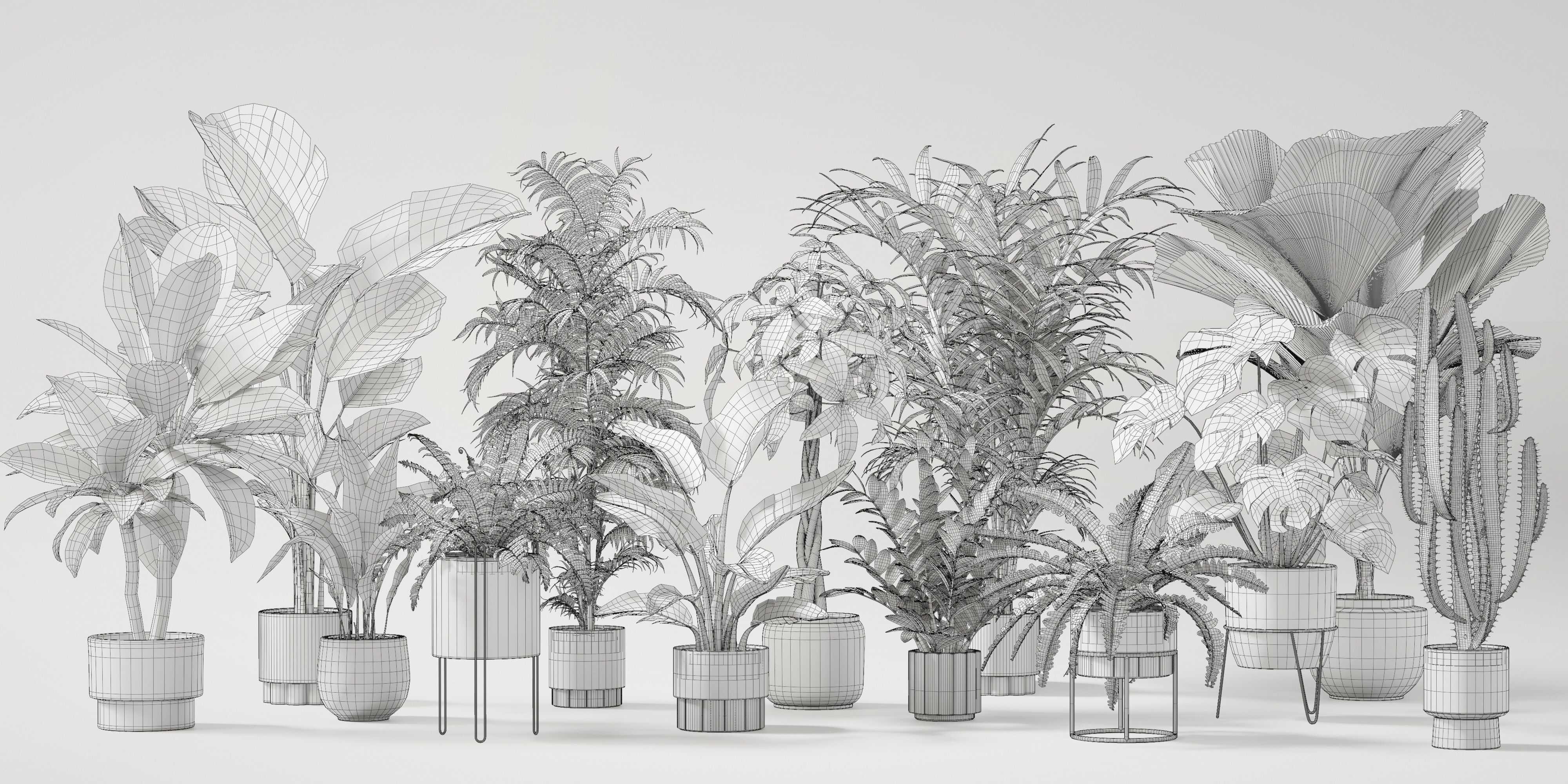 Plants Collection for Archviz 02 3D model_2