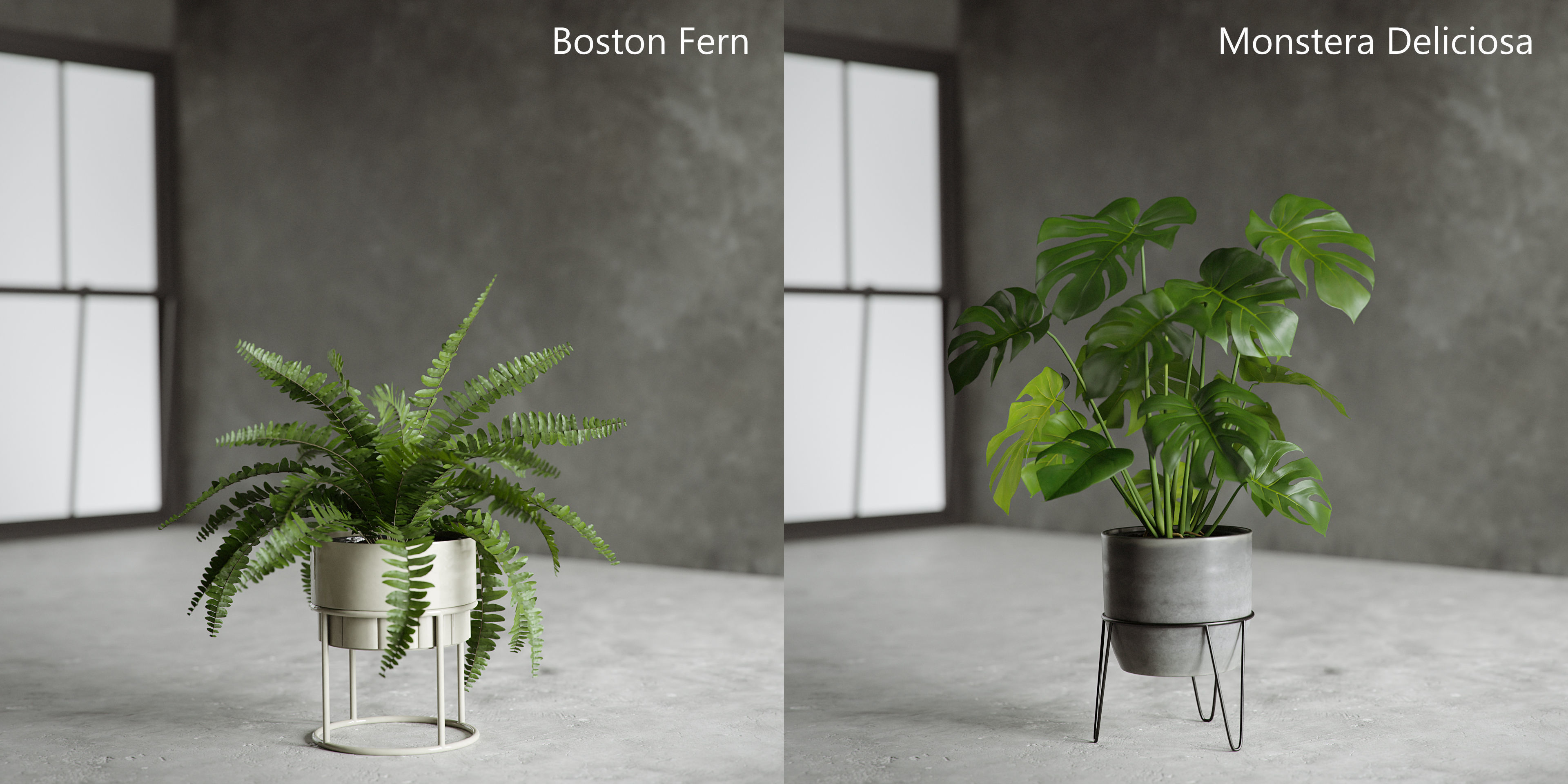 Plants Collection for Archviz 02 3D model_8