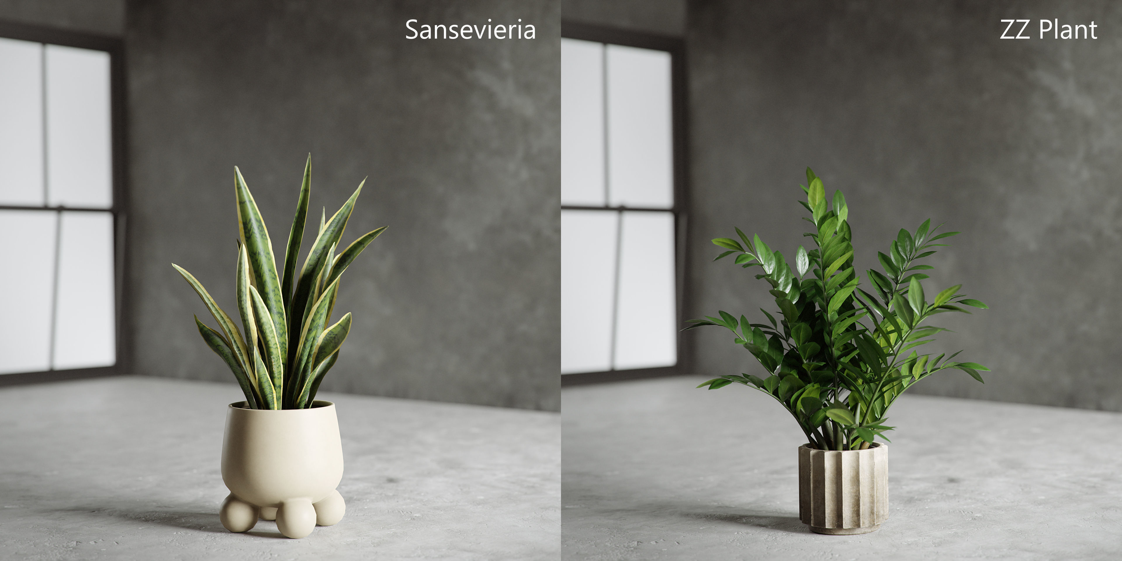 Plants Collection for Archviz 02 3D model_10