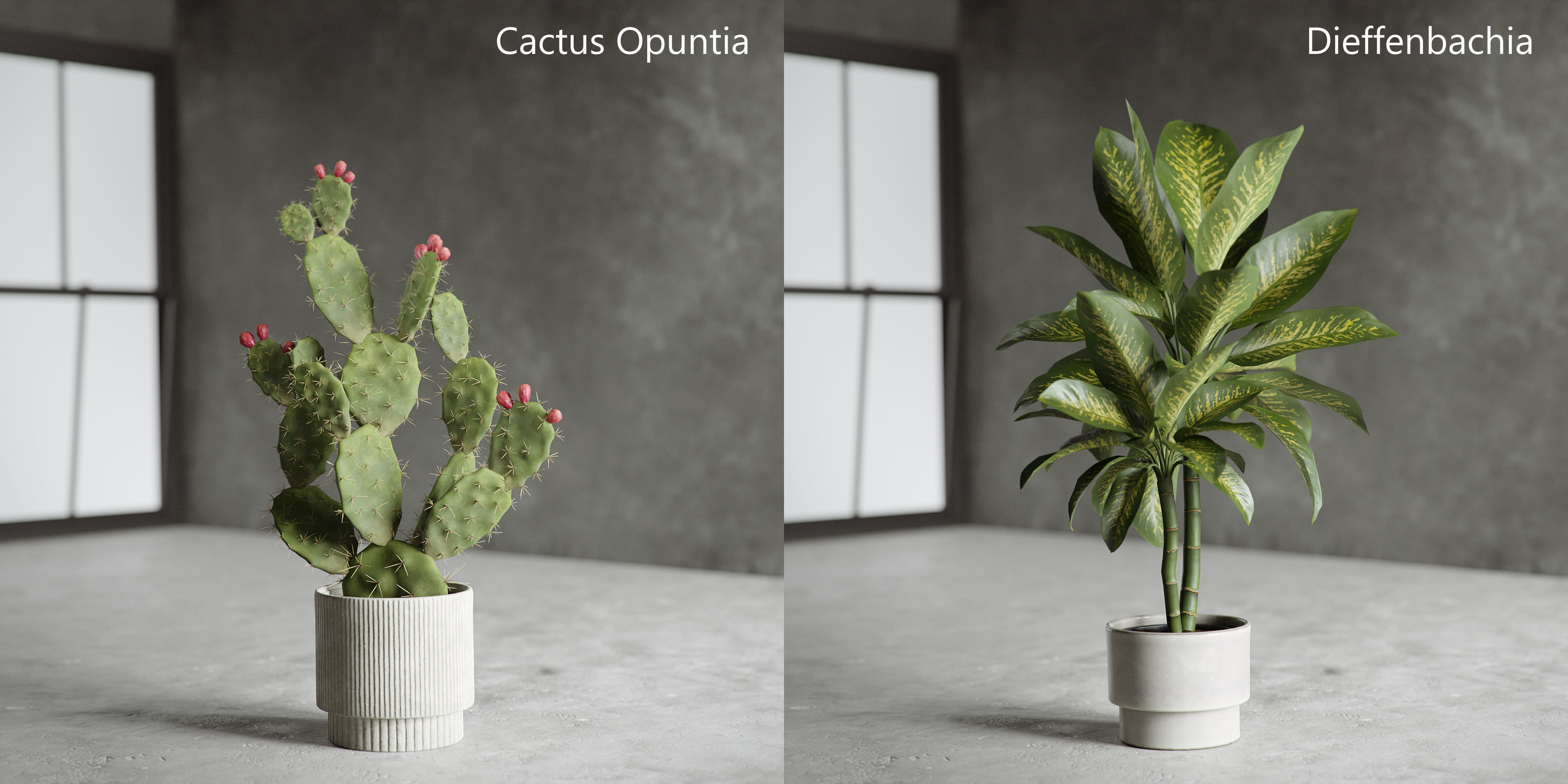 Plants Collection for Archviz 02 3D model_13