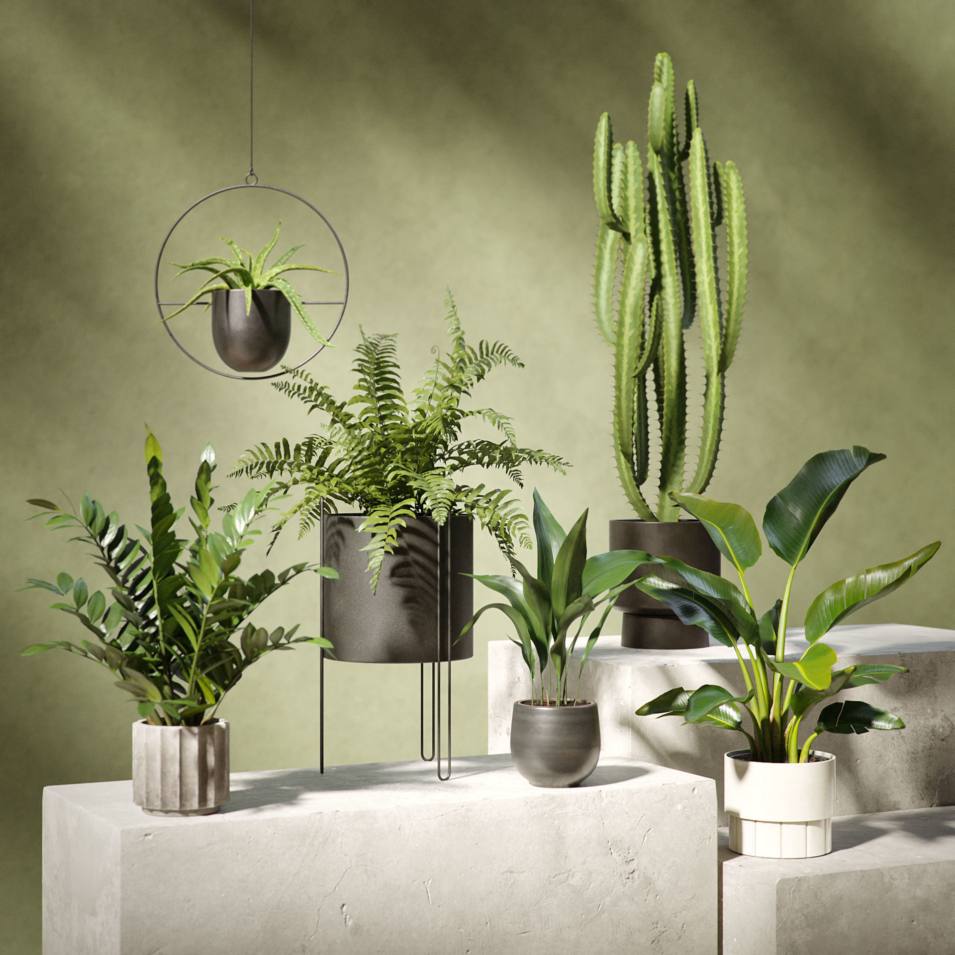 Plants Collection for Archviz 02 3D model_16