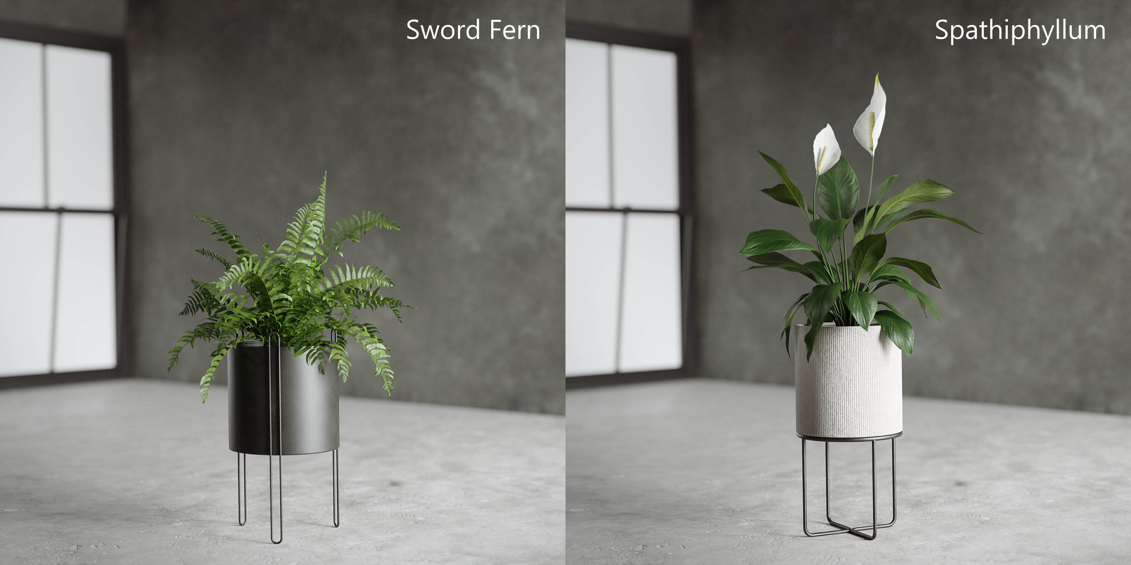 Plants Collection for Archviz 02 3D model_9