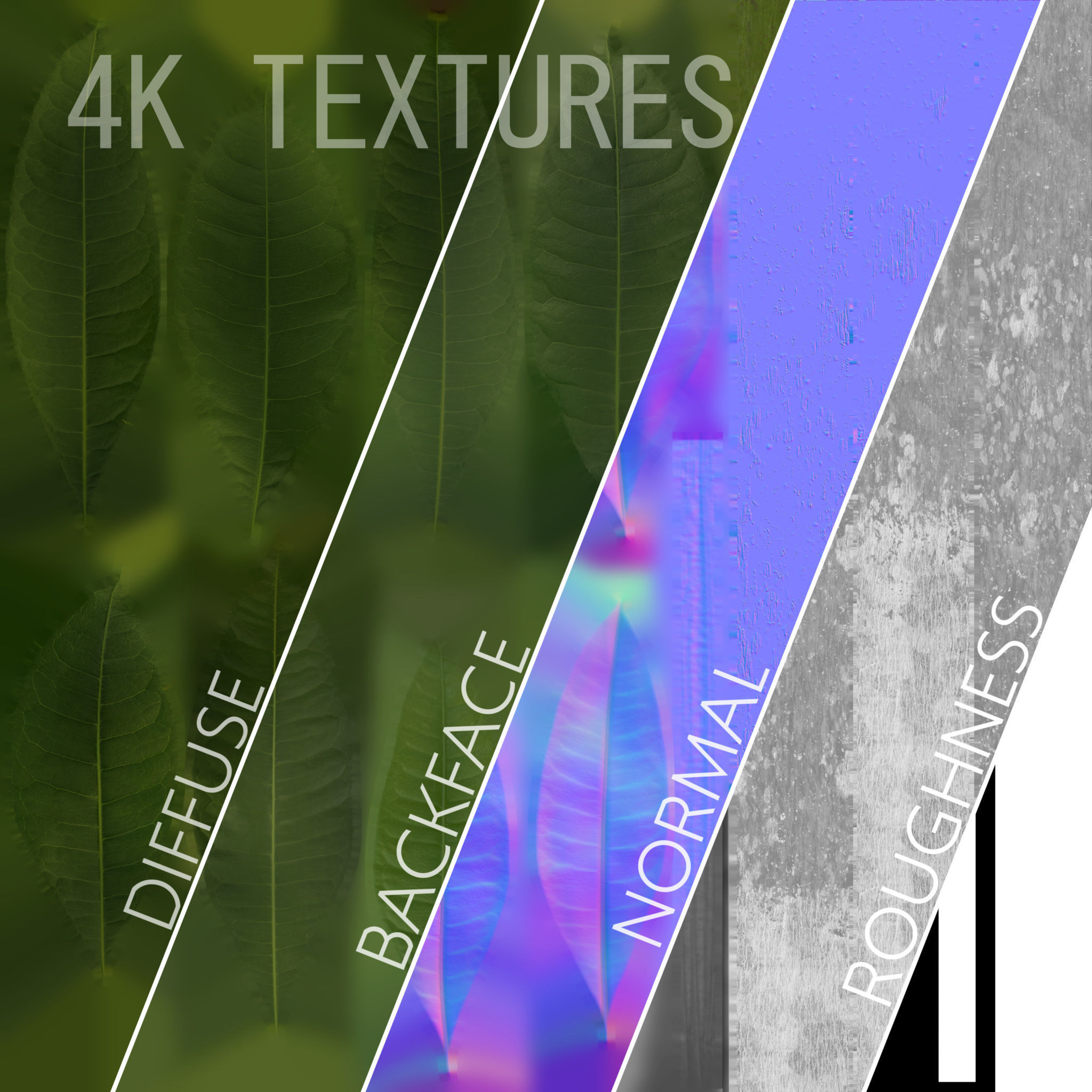 Plants Collection for Archviz 02 3D model_17