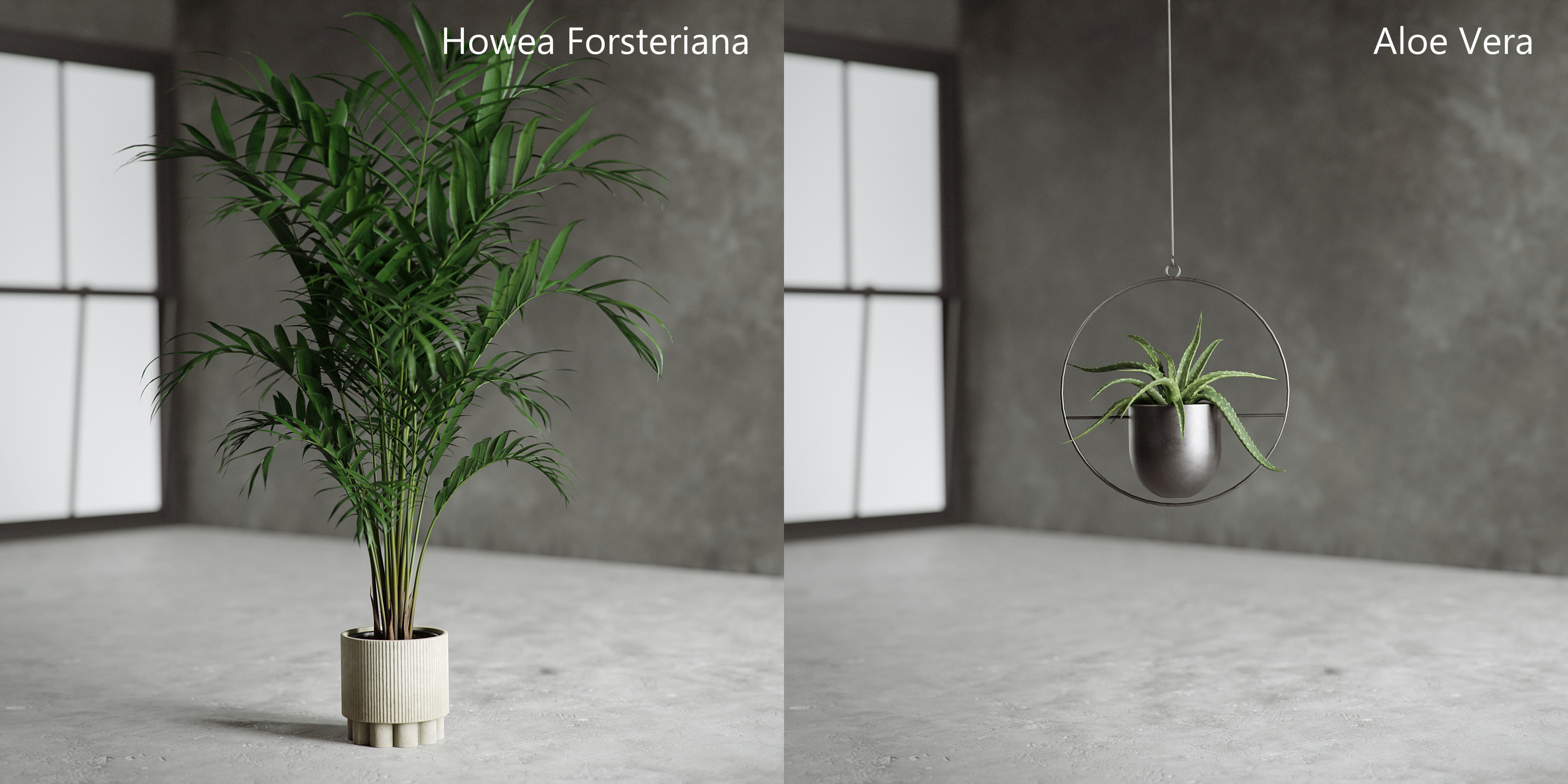 Plants Collection for Archviz 02 3D model_14