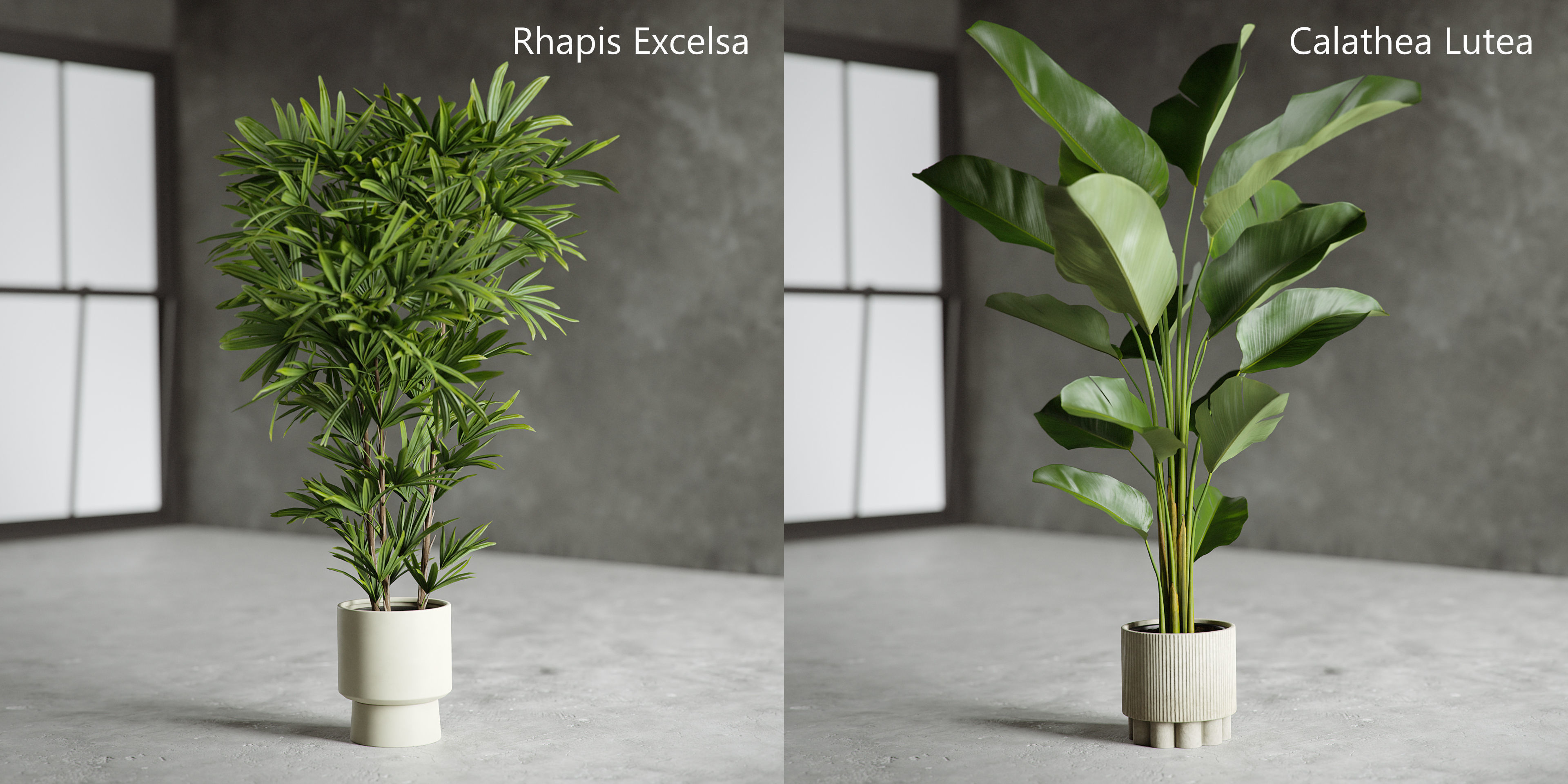 Plants Collection for Archviz 02 3D model_4