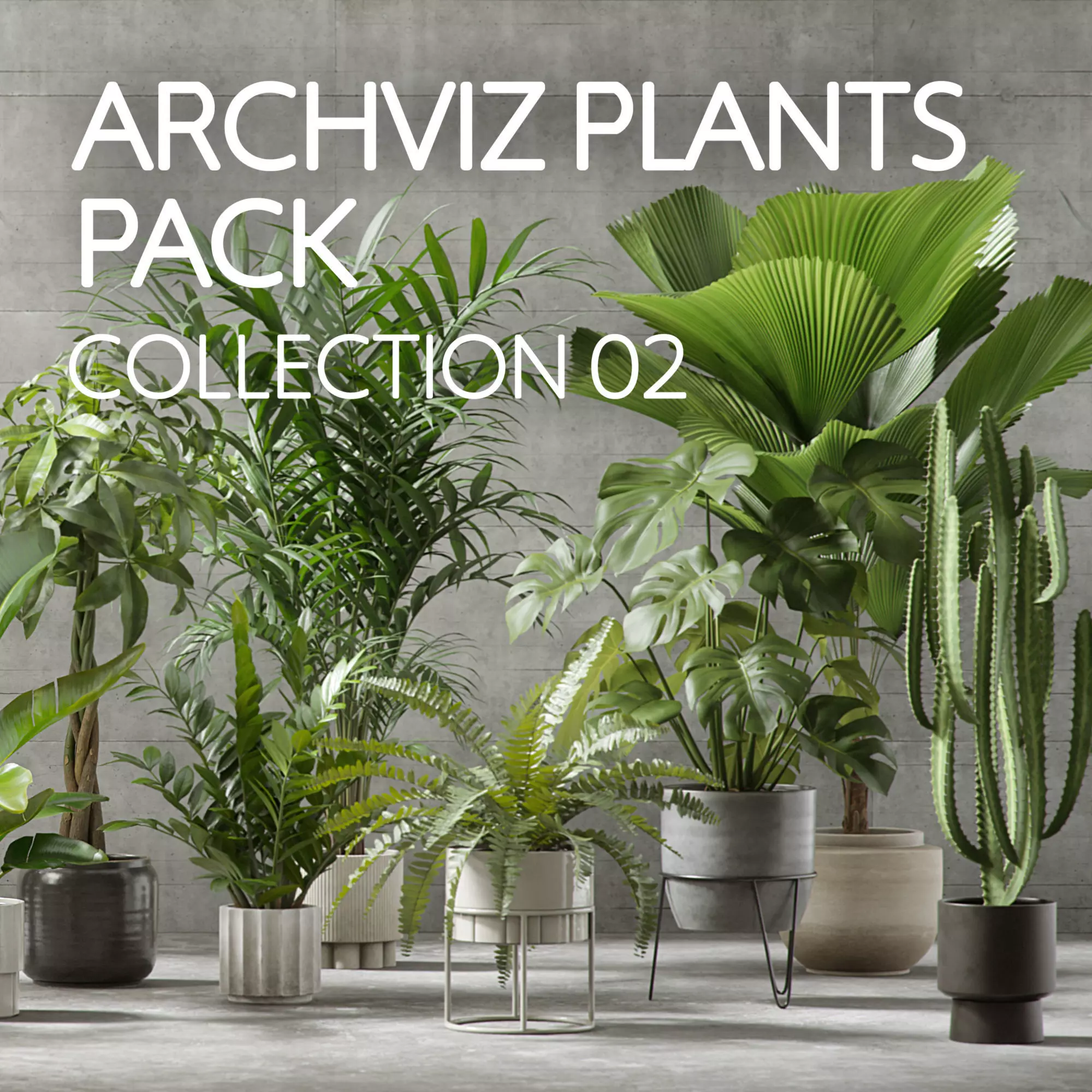 Plants Collection for Archviz 02 3D model_0