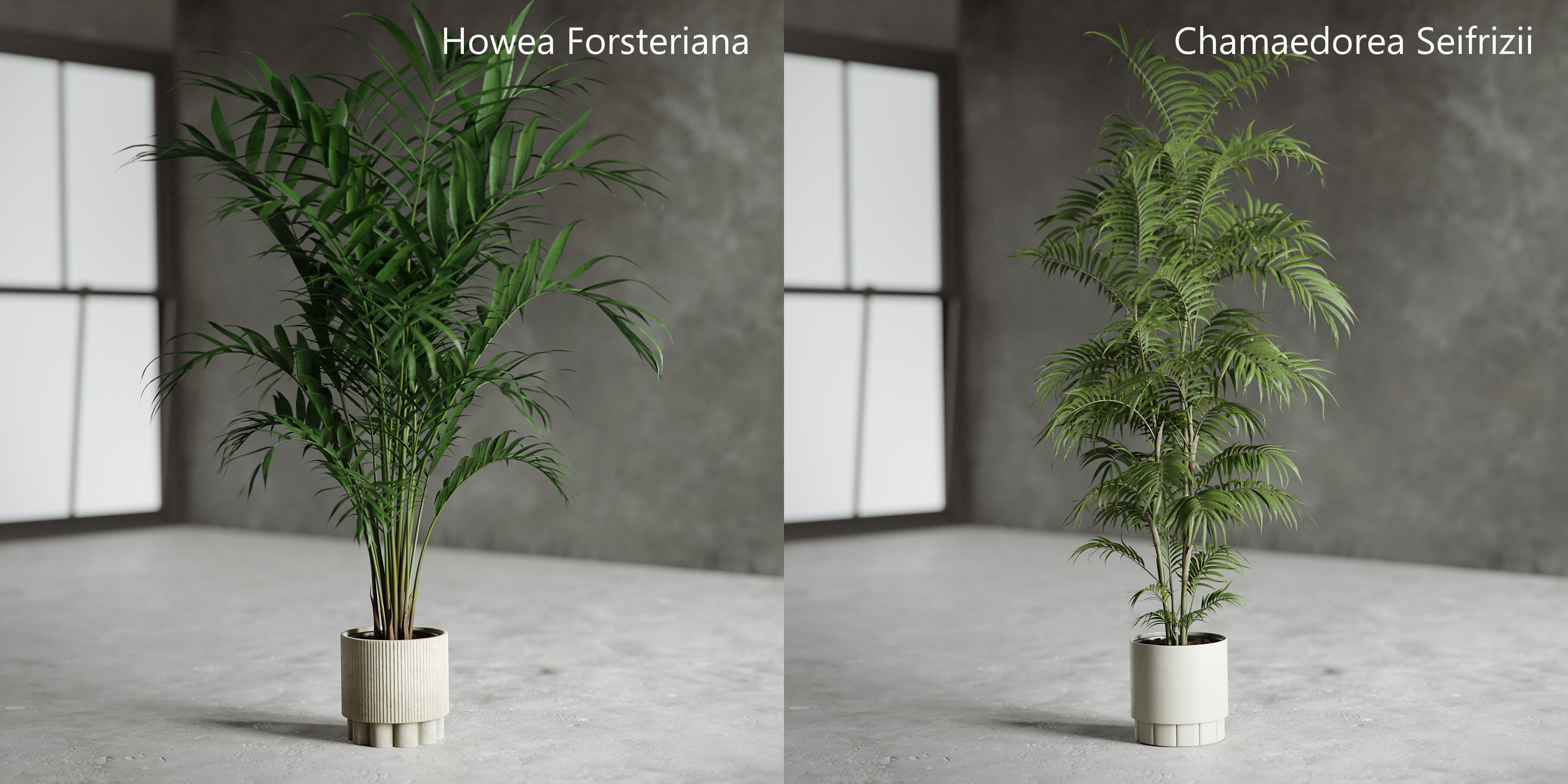 Plants Collection for Archviz 02 3D model_7