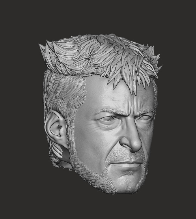 Wolverine 2024 - Hugh Jackman  3D print model_1