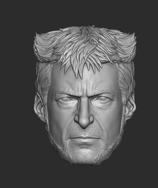 Wolverine 2024 - Hugh Jackman  3D print model_0