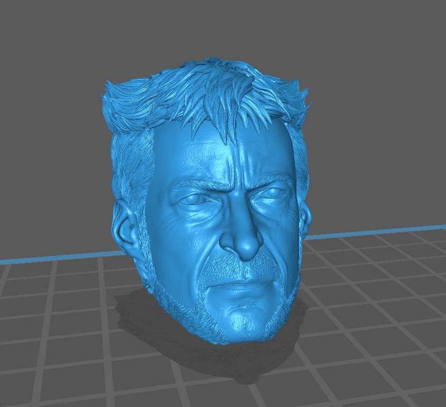 Wolverine 2024 - Hugh Jackman  3D print model_2