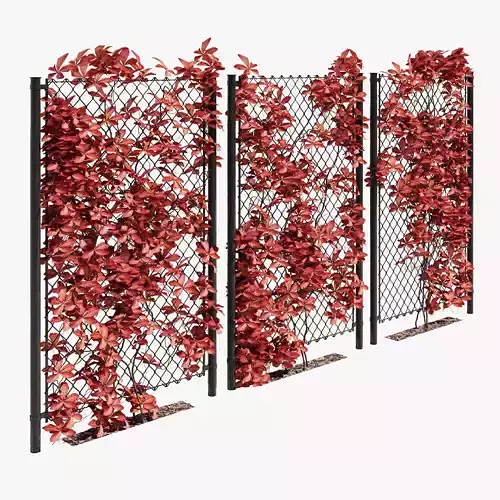 Ivy on fence two 3D model