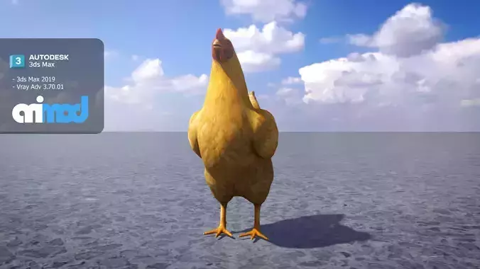 Chicken