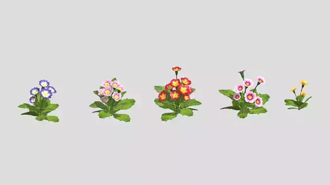 Primerose Flower Low Poly Low-poly 3D model