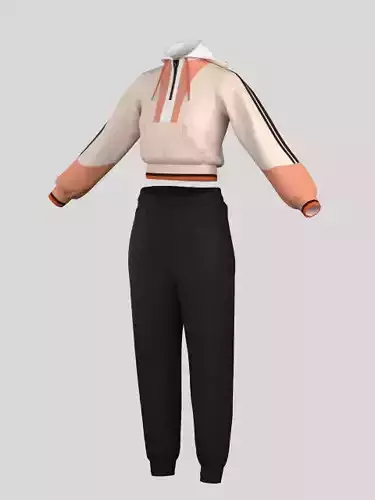 Cropped Women Hoodie and Pants