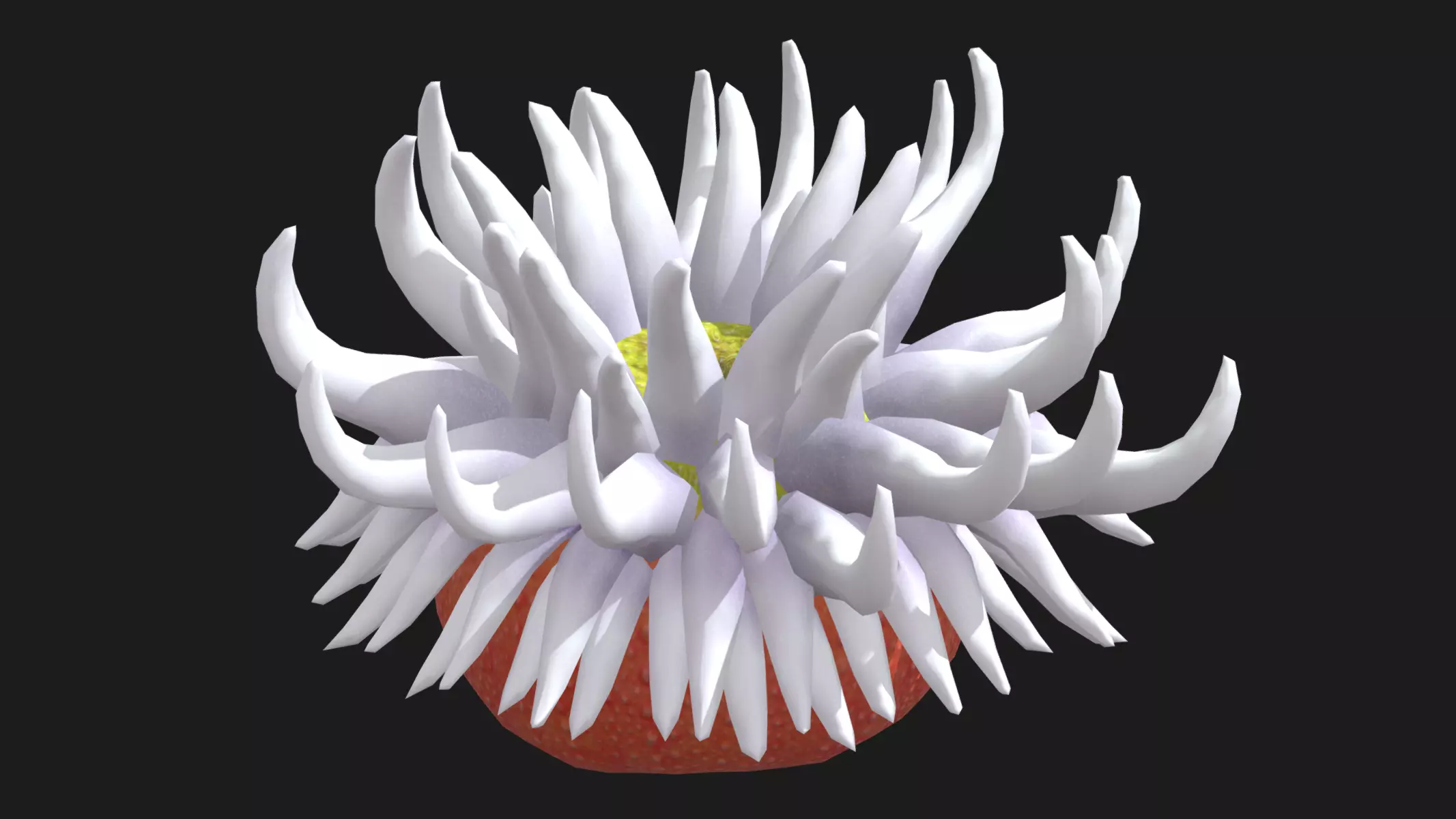 Anthozoa Coral Low Poly Low Poly Low-poly 3D model