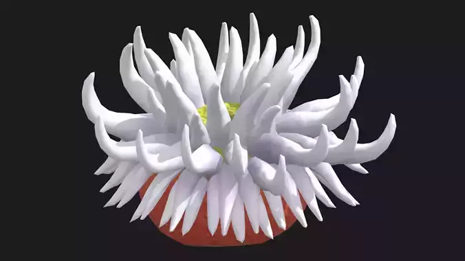 Anthozoa Coral Low Poly  Low Poly