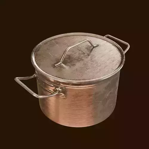 Stainless Steel Pot