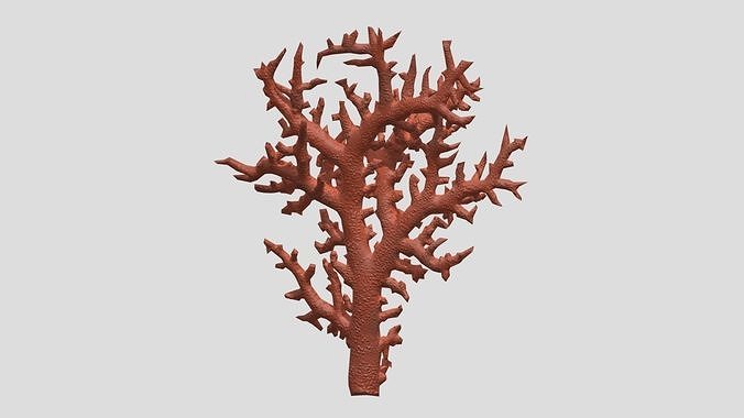 Branch Coral Low Poly Low-poly 3D model