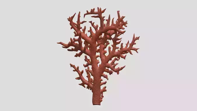 Branch Coral Low Poly