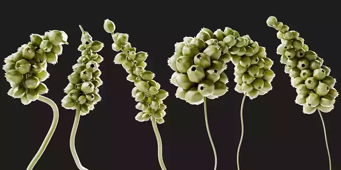 Fictional Plant 3D Model