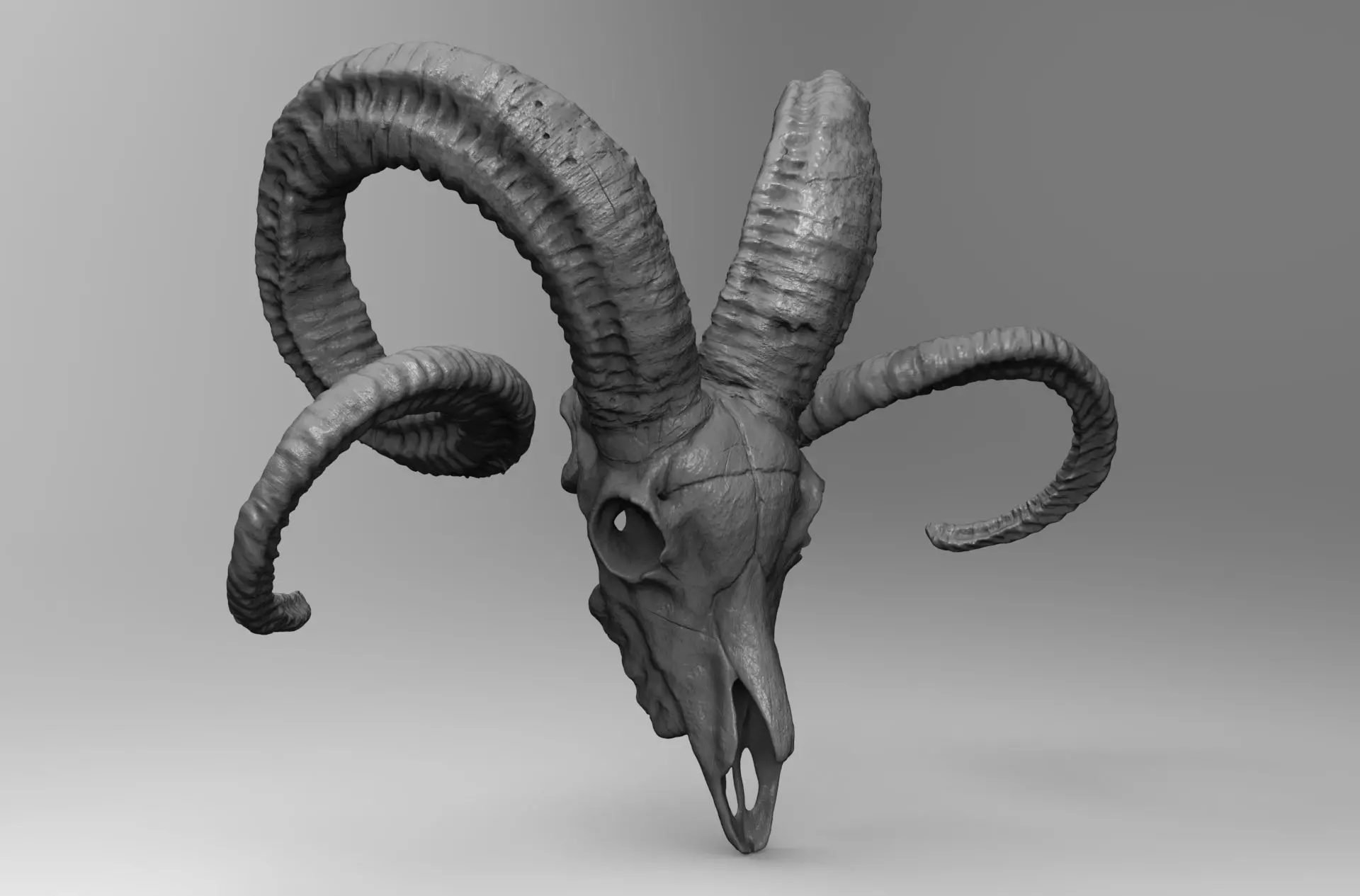 CRANEO CARNERO IMPRESION 3D - RAM SKULL 3D PRINTING 3D print model_0