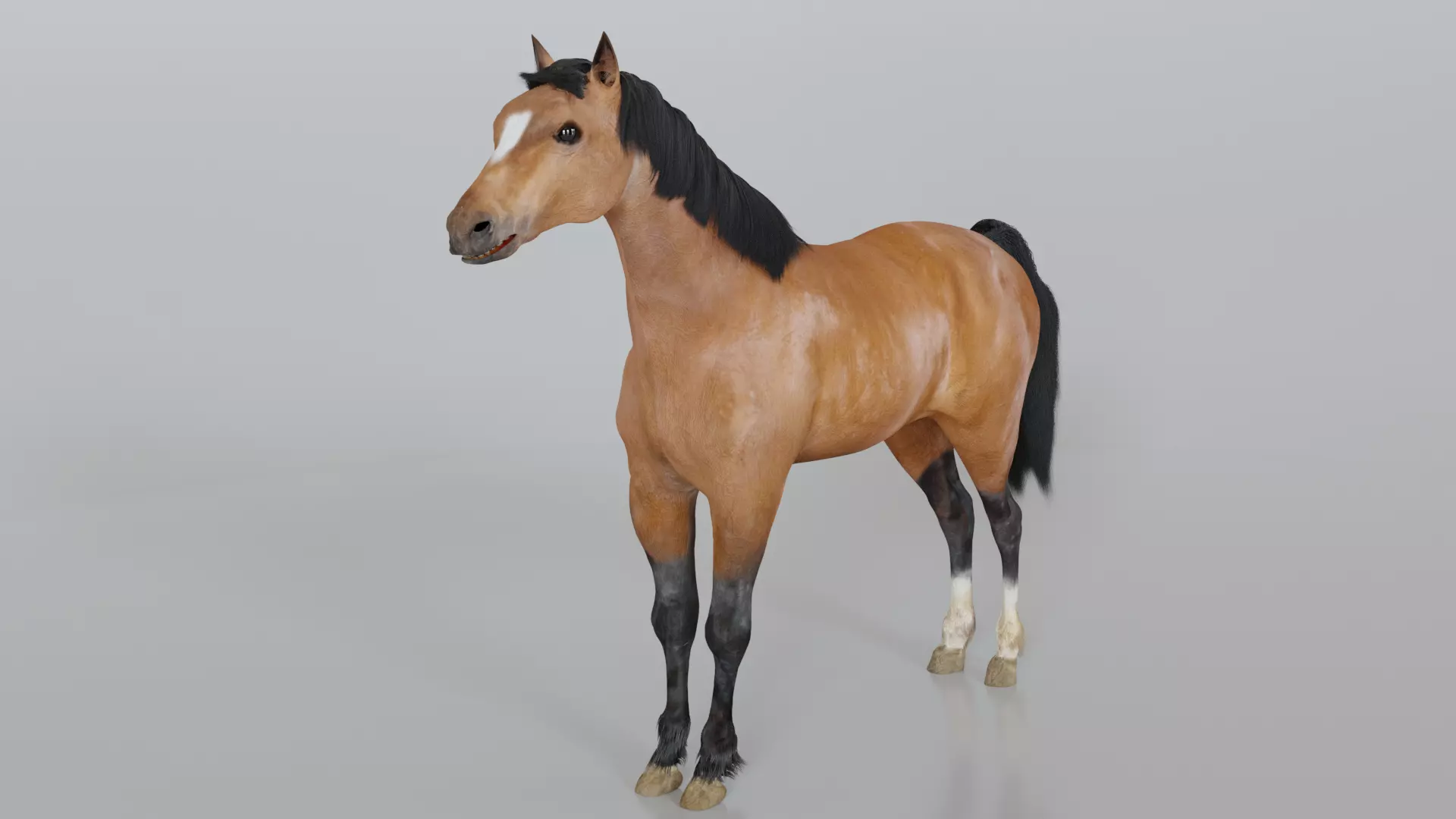 The Horse Free 3D model_0