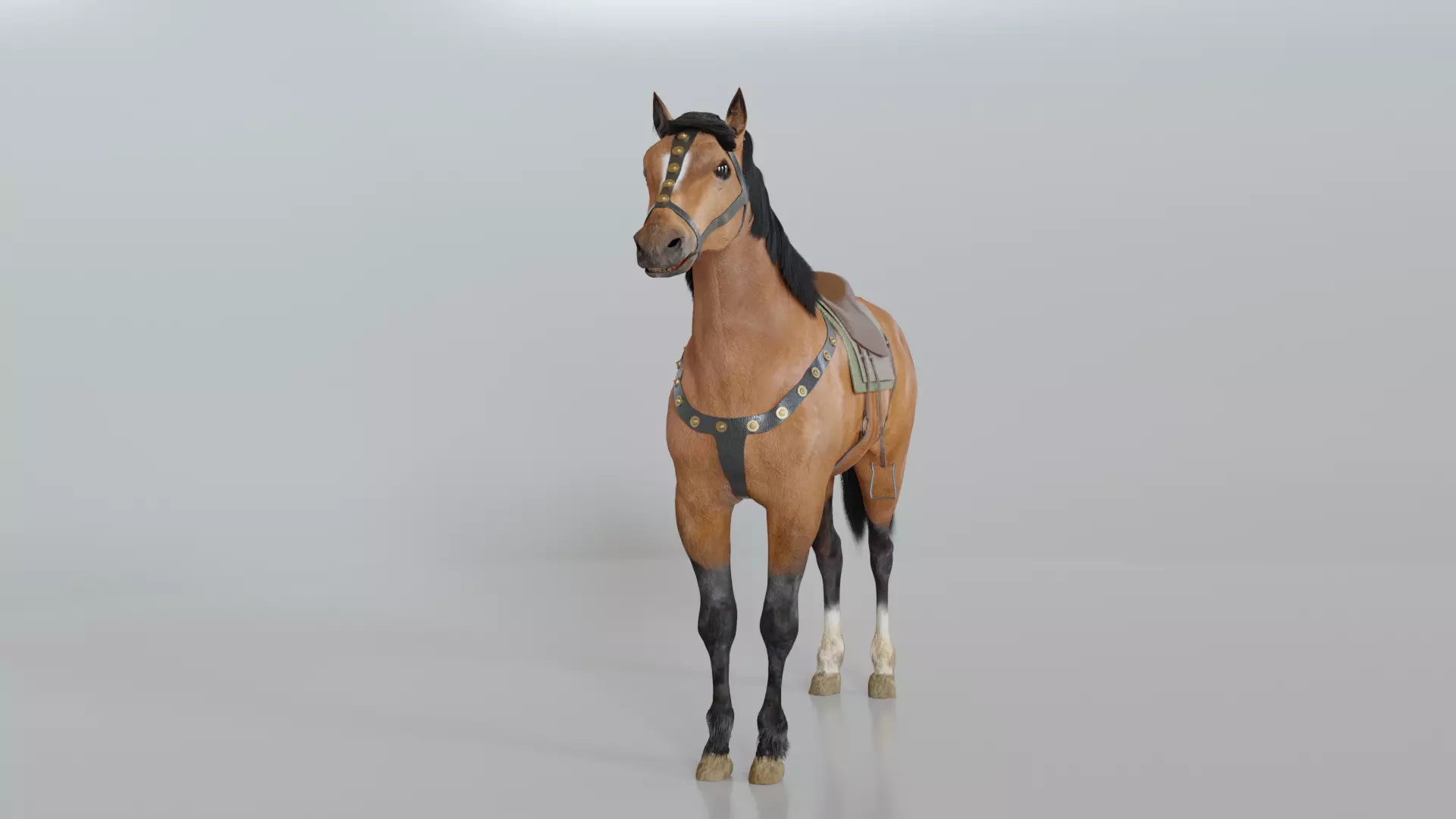 The Horse Free 3D model_3