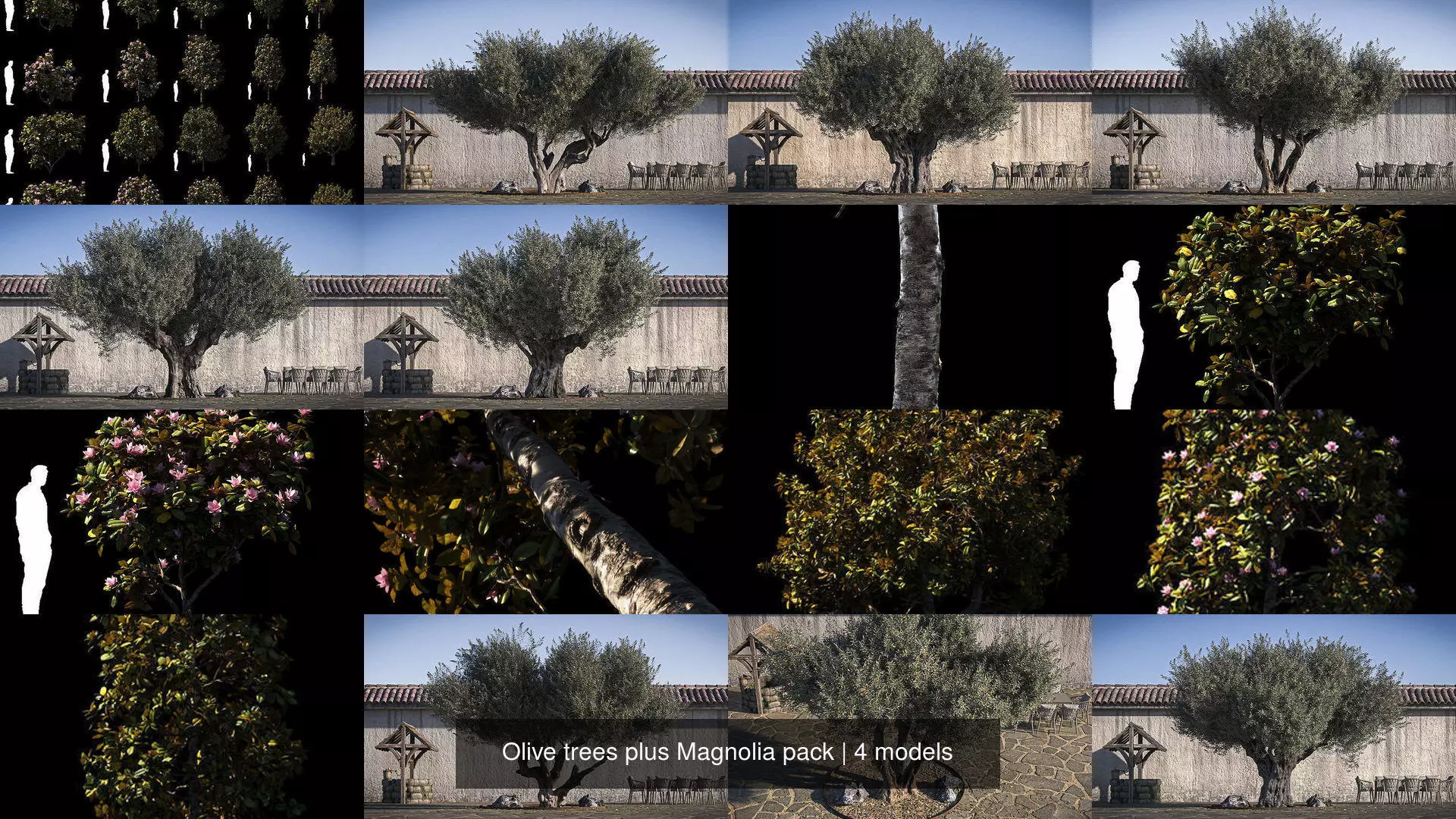 Olive trees plus Magnolia pack 3D Model Collection_1