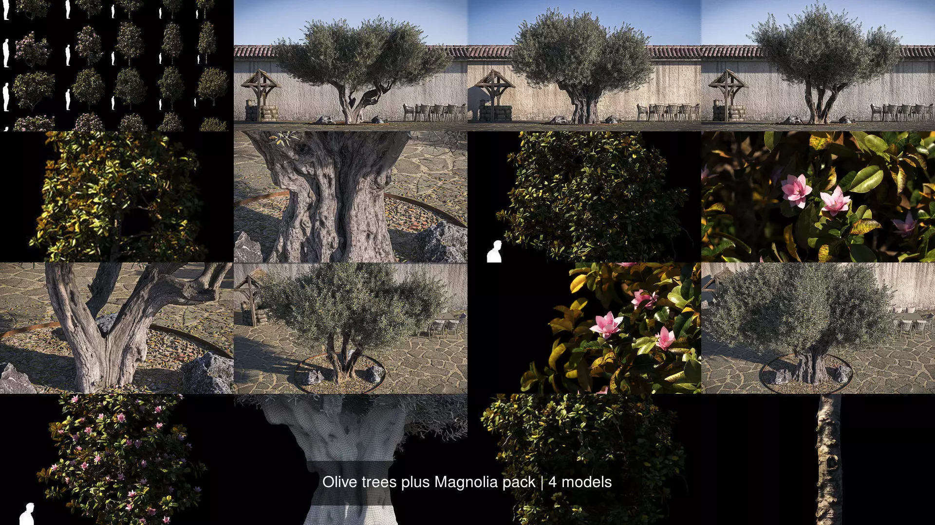 Olive trees plus Magnolia pack 3D Model Collection_0