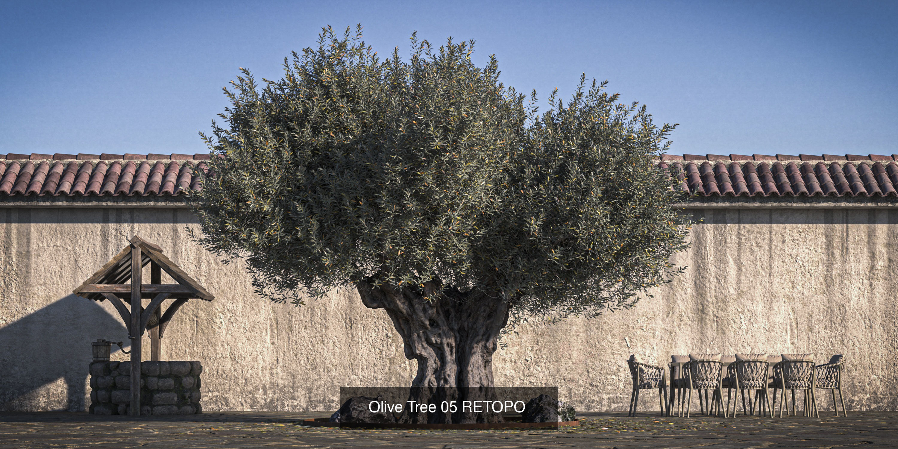 Olive trees plus Magnolia pack 3D Model Collection_4