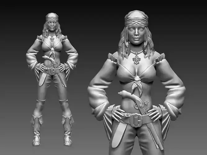 PIRATE 3D print model