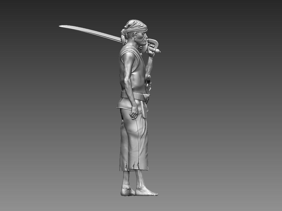 PIRATE 3D print model_15