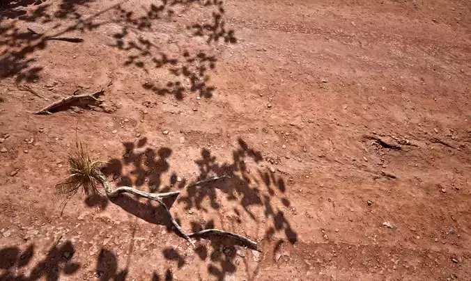 Soil 17 - Scanned Materials Textures