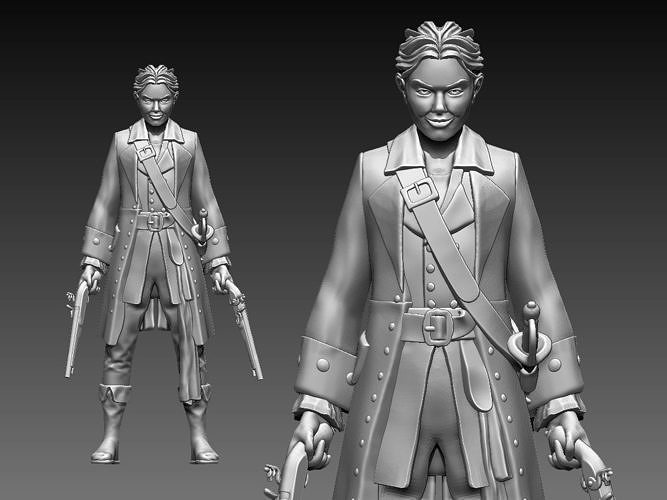 PIRATE 3D print model