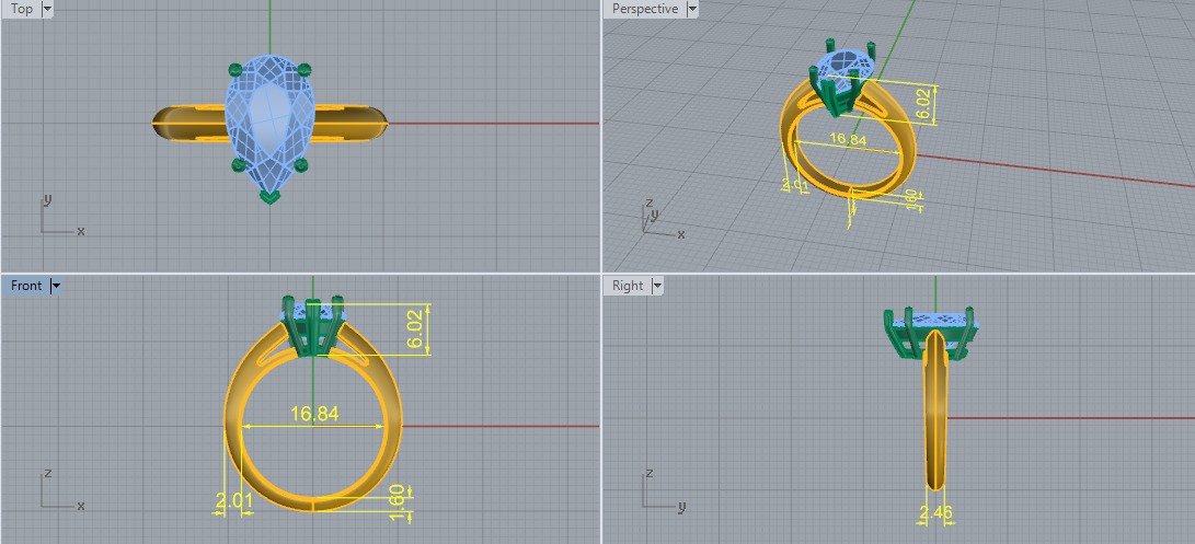 Ring pear Model 6290 3D print model_5