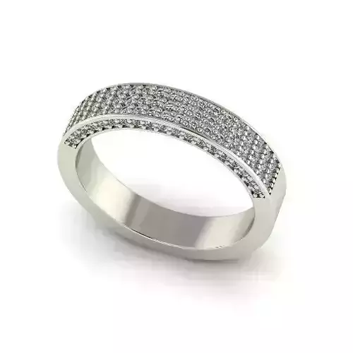 Ring Model 6281