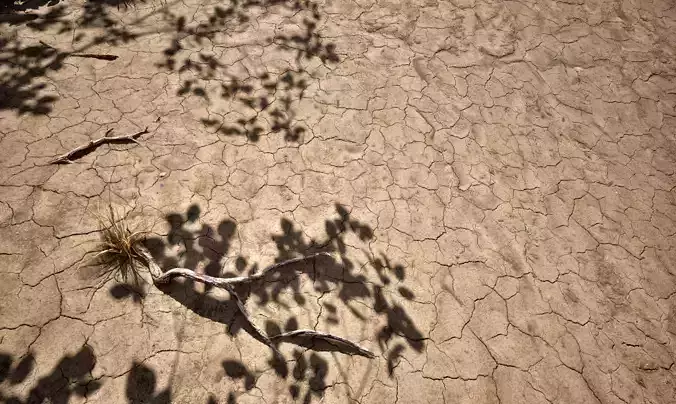 Soil 20 - Scanned Materials Textures