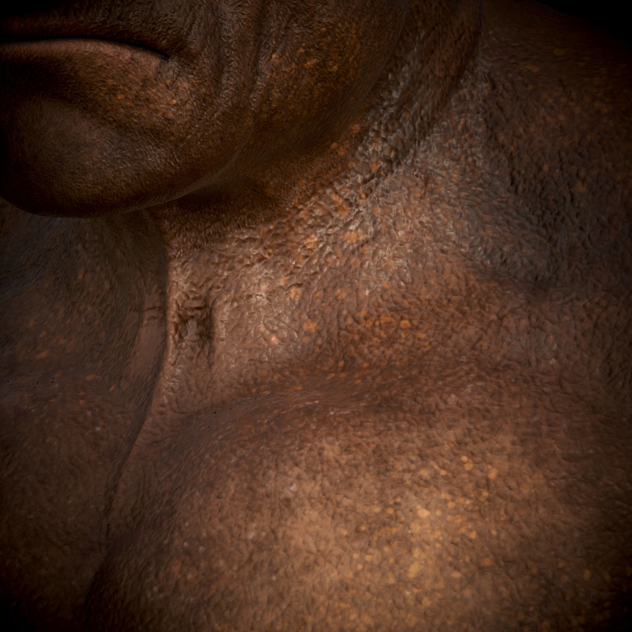 Ape Gorila king kong Low-poly 3D model_4