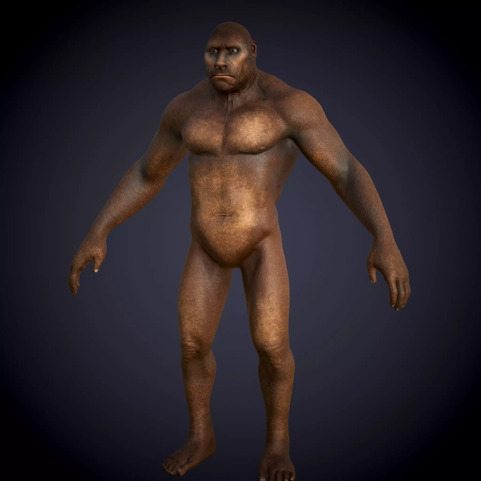Ape Gorila king kong Low-poly 3D model_0