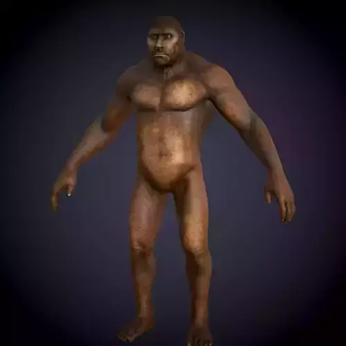 Ape Gorila king kong Low-poly 3D model